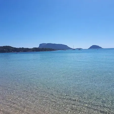 Monolocale Arianna Con Giardino Privato E Piscina *